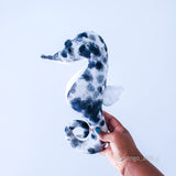 Albus the Seahorse - Honeycomb